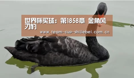 世界杯投注站