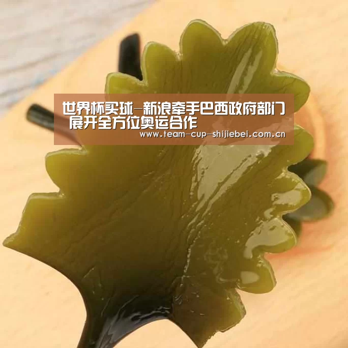 世界杯投注站